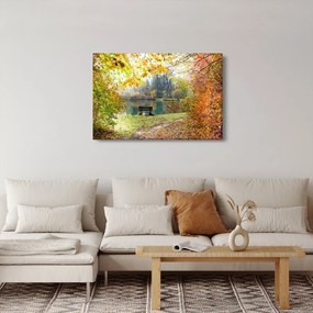 Obraz rybníka (90x60 cm)