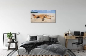 Sklenený obraz Ležiaci pes pláž 140x70 cm