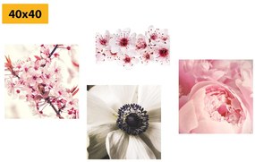 Set obrazov jemnosť kvetov