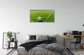 Obraz canvas Futbalový štadión trávy 120x60 cm