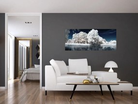 Obraz - Snehobiele stromy (120x50 cm)