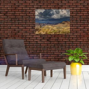 Sklenený obraz - kaktusy v prírode (70x50 cm)