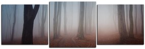 Obraz na plátne - Hmla v lese - panoráma 5182D (90x30 cm)