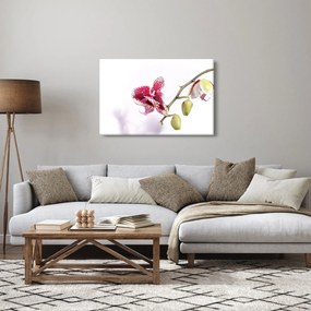Obraz kvetu orchidey (90x60 cm)
