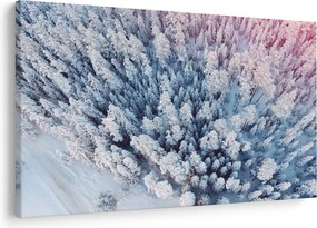 Obraz zasnežených stromov (90x60 cm)