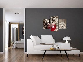 Obraz - Vianočné ozdoby (90x60 cm)