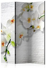 Paraván - The Urban Orchid [Room Dividers] Veľkosť: 135x172, Verzia: Obojstranný