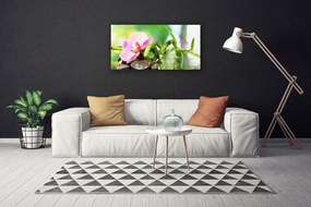 Obraz Canvas Bambus stonka rastlina príroda 120x60 cm