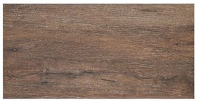 Dlažba Hazard Brown 30/60