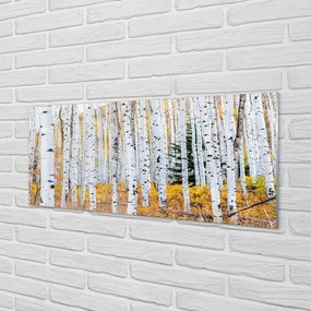 Obraz plexi Jesene breza 120x60 cm