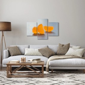 Obraz mandarínok (90x60 cm)