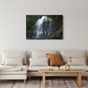 Obraz vodopádu (90x60 cm)