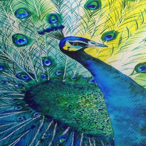 Obraz páva (90x60 cm)