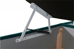 Čalúnená posteľ DARA II, 200x180, zelená (Kronos 19/Vogue 14)