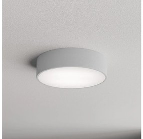 Brilagi - Kúpeľňové stropné svietidlo CLARE 2xE27/24W/230V pr. 30 cm IP54 šedá BG1498