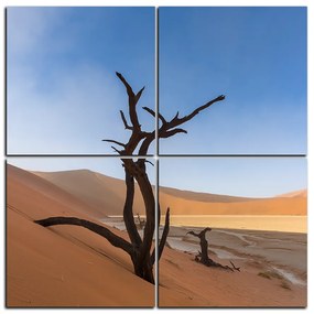 Obraz na plátne - Mŕtvy strom v dunach - štvorec 3130E (60x60 cm)
