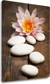 Obraz na plátne FENG SHUI_059-11