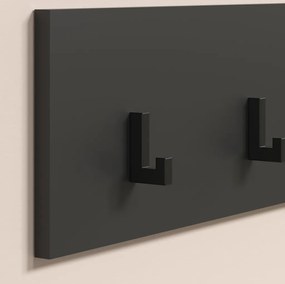 Nástenný vešiak na šaty Esteban, antracit