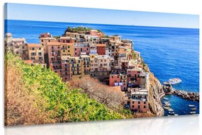 Obraz Manarola v Taliansku Varianta: 120x80