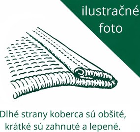 Kusový koberec Plus 8009 red, 200x290, červená, obývacia izba, Ayyildiz