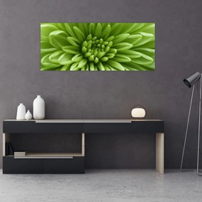 Obraz - Makro snímka rastliny (120x50 cm)