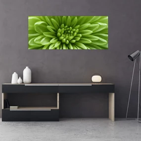 Obraz - Makro snímka rastliny (120x50 cm)
