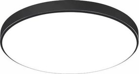 LED Kúpeľňové stropné svietidlo DYLAN LED/30W/230V 6000K IP44 pr. 32 cm čierna