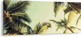 Obraz s kokosovými palmami (120x50 cm)