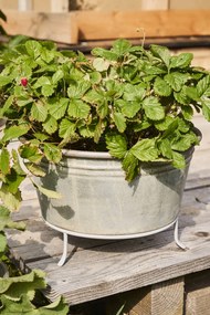 Ib Laursen Plechový obal na kvetiny Conical Urban Garden L