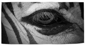 Sablio Uterák Oko zebry - 30x50 cm