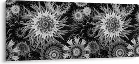 Obraz - Čiernobiele bodliaky (120x50 cm)