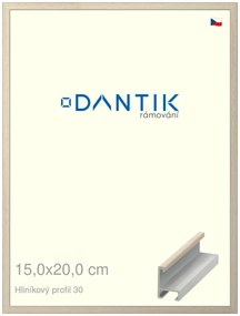 DANTIK rám na obraz 15x20 | ALU Dýha slovnová kost (Sklo Čiré)