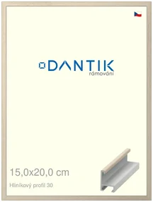 DANTIK rám na obraz 15x20 | ALU Dýha slovnová kost (Sklo Čiré)