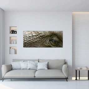 Obraz - Detailné fotografie starého slonieho oka (120x50 cm)