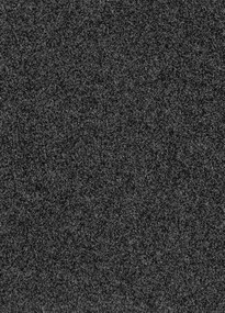 Koberce Breno Metrážny koberec PRIMAVERA 236, šíře role 400 cm, čierna