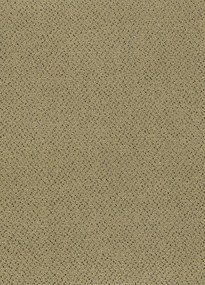 Koberce Breno Metrážny koberec FORTESSE SDE NEW 138, šíře role 400 cm, béžová
