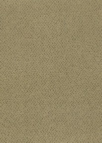 Koberce Breno Metrážny koberec FORTESSE SDE NEW 138, šíře role 400 cm, béžová