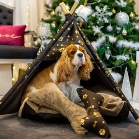 Golden Dog TeePee stan Golden dog 87 x 87 x 118 cm - L zlaté labky
