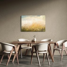 Obraz - Pole na jeseň (90x60 cm)