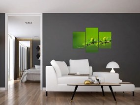 Obraz zelenej šišky (90x60 cm)