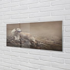Obraz na akrylátovom skle Vlk hory 120x60 cm