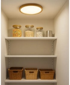 LED Stropné svietidlo LED/18W/230V 3000/4000/6500K pr. 23 cm béžová