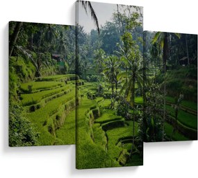 Obraz ryžových terás Tegalalang, Bali (90x60 cm)