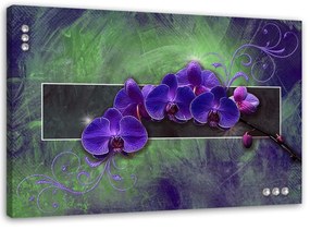 Obraz na plátně Orchidej Květina Přírodní fialová - 90x60 cm