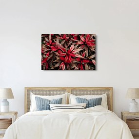 Obraz červených okvetných lístkov (90x60 cm)