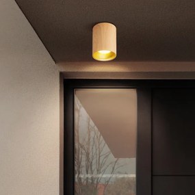 Brilagi - LED RGBW stmievateľné bodové svietidlo TRINE 1xGU10/30W/230V dubový dekor