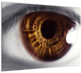 Sklenený obraz - Oko (70x50 cm)