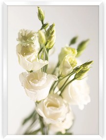 Plagát Elegant Flowers