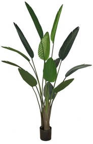 Artificial pot plant Strelicja 190cm
