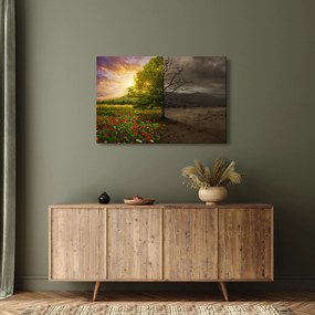 Obraz - Kolobeh života (90x60 cm)